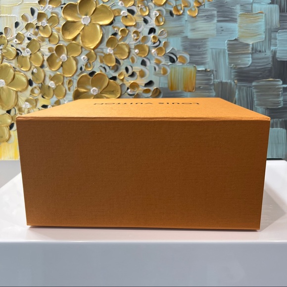 Louis Vuitton Large Gift Box and Bag Set - Picture 4 of 8